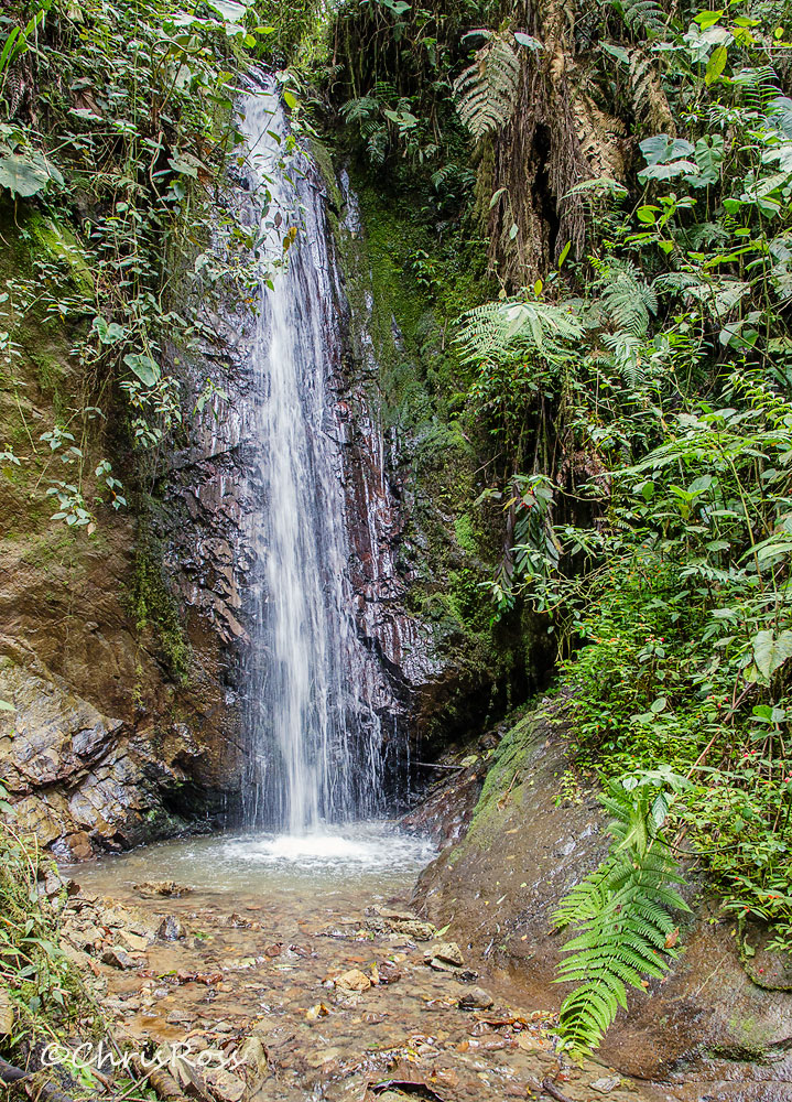 Bella VistaWaterfall Walk 2