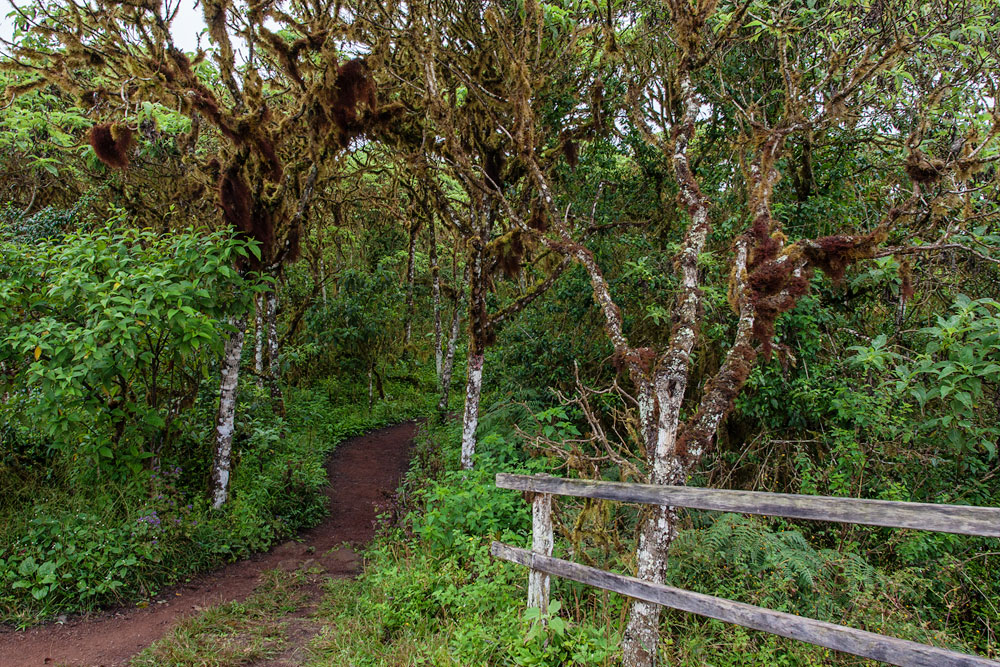 Santa Cruz Highlands