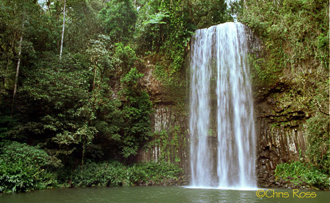 Millaa-Millaa Falls