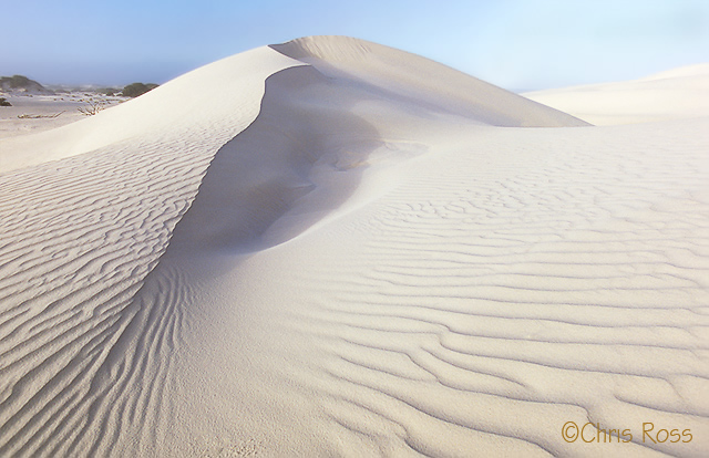Eyre Dunes 5